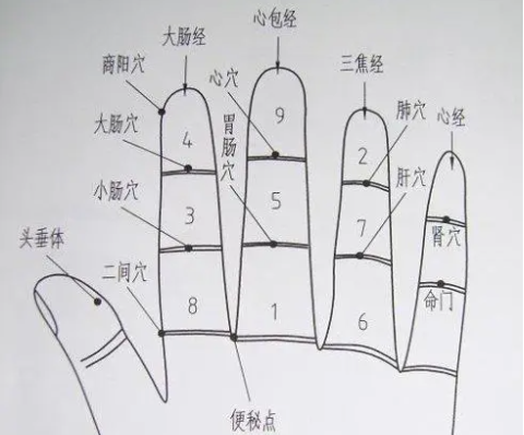 图片8.png